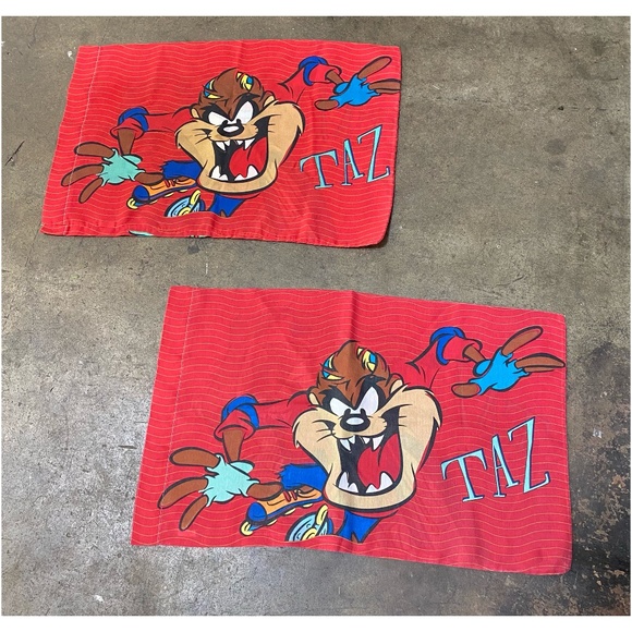 dan river pillowcases